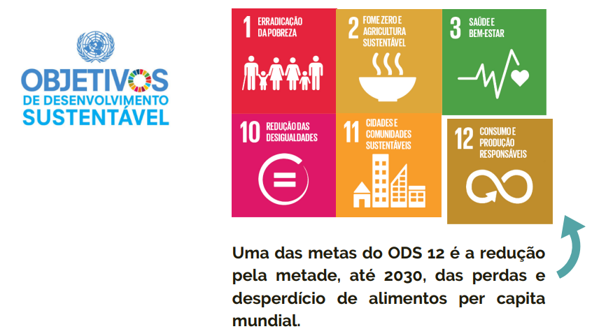 informações sobre o ODS 12